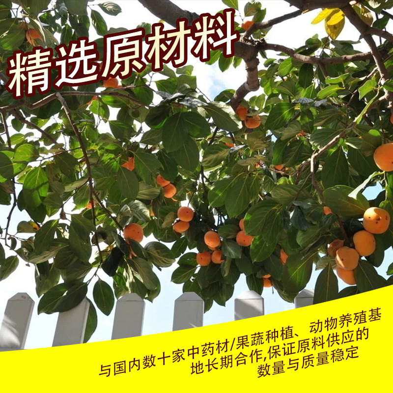 柿子叶