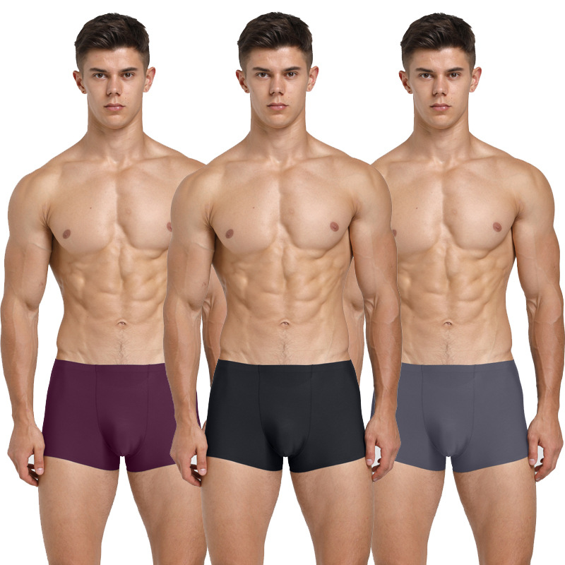 Single chip man Borneol Underwear man Underwear No trace sexy Borneol Flat feet Boxer briefs WZ01