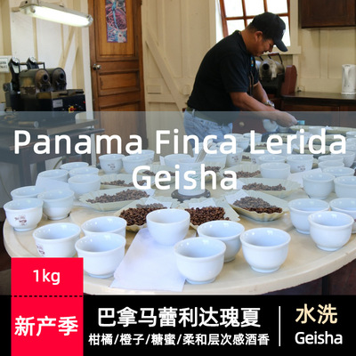 Imported coffee Green beans Panama ray Lida Manor Geisha washing 1kg Soft wine aroma