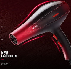 Professional Salon High-Power Hair Dryer with Cold and Hot Wind Hair Dryer for Hair Salons and Home Use, Hair-Friendly Model ①