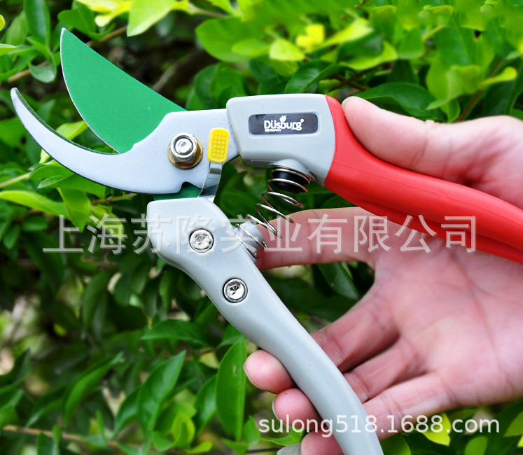 德国德狮宝PS-8G修枝剪园林修枝剪 水果花园枝剪园艺整枝剪