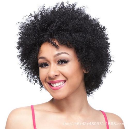 Curly Hair Wigs Parrucche per capelli ricci African pin wig women small curly headgear black short curly explosion head rose net high temperature wig