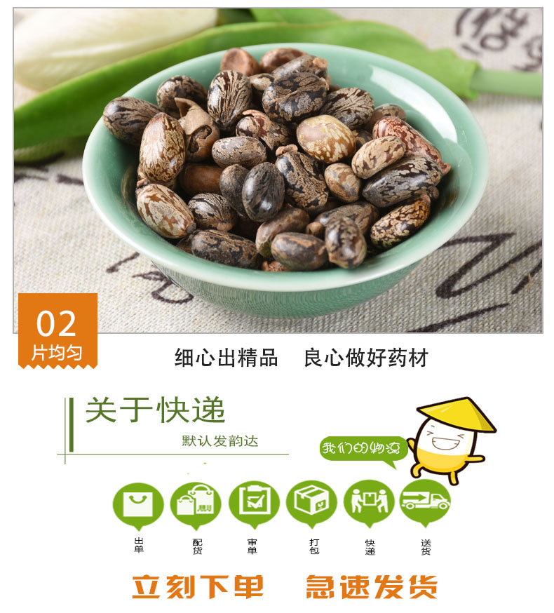 Castor Bean Seeds (Ricinus communis) — Dried Bi Ma Ren Herbal Seed, 500g preparation