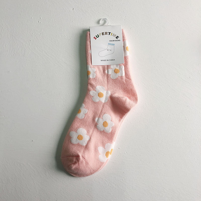 IMG_0537(20191107-154643)