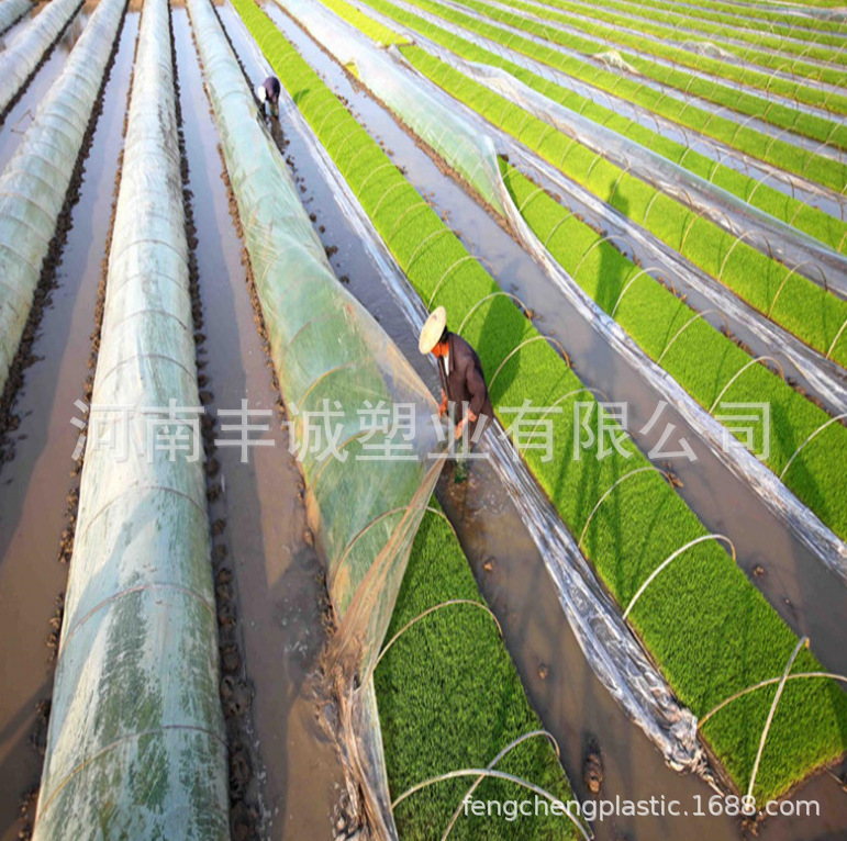 农用薄膜销售保温白色蔬菜小拱薄膜果树防冻膜混凝土养护膜