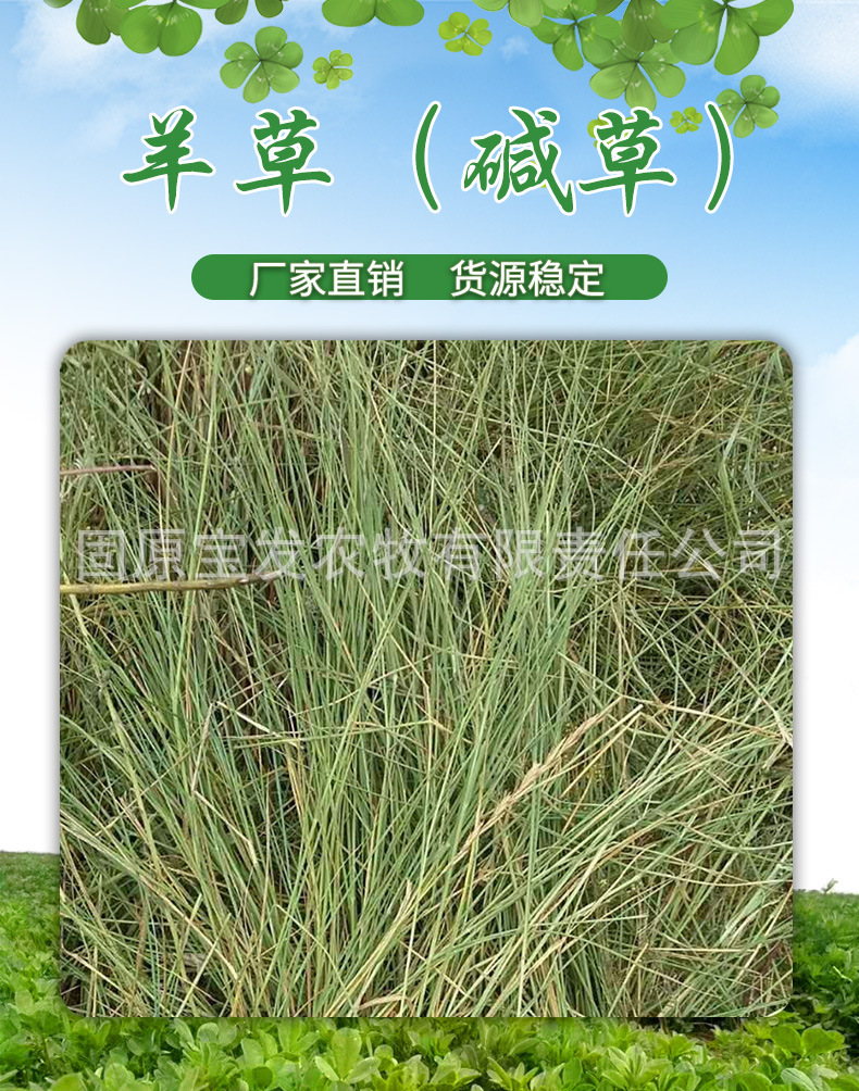 9557287764_1231397854