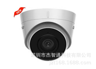 DS-IPC-T12H2-I/PoE 海康威视200万日夜型半球型网络摄像机