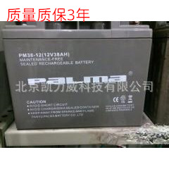 韩国PaLma蓄电池PM38-12 八马12V38AH直流屏PM38-12