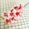 Pink core