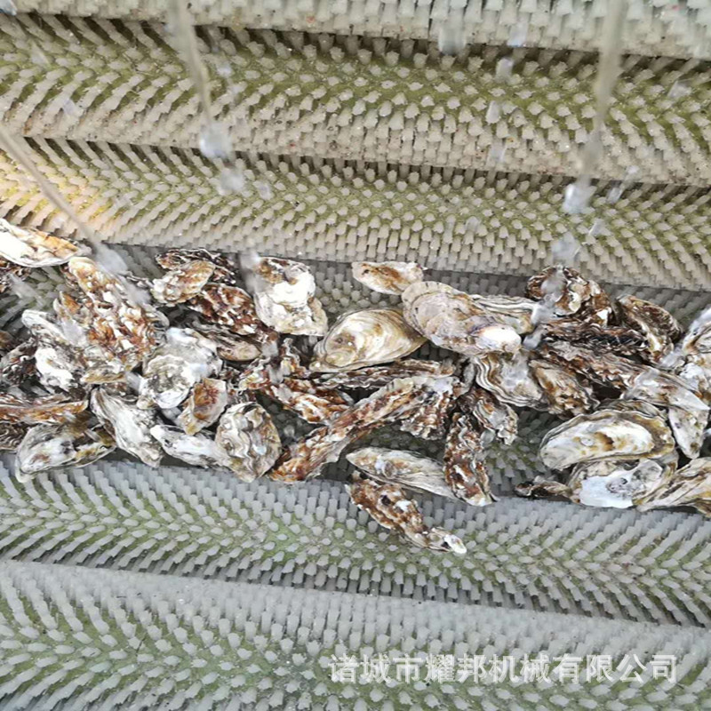 牡蛎海蛎子清洗机 高压水喷淋加毛辊清洗泥沙灰尘