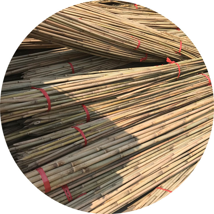 厂家供应各种规格支撑农用竹竿各种包装类型 贴牌加工
