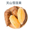 Yunnan fruit Tianshan Yacon Yunnan Super Straight hair Yacon wholesale 10 wholesale On behalf of