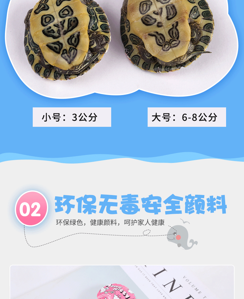 七彩小乌龟123_05