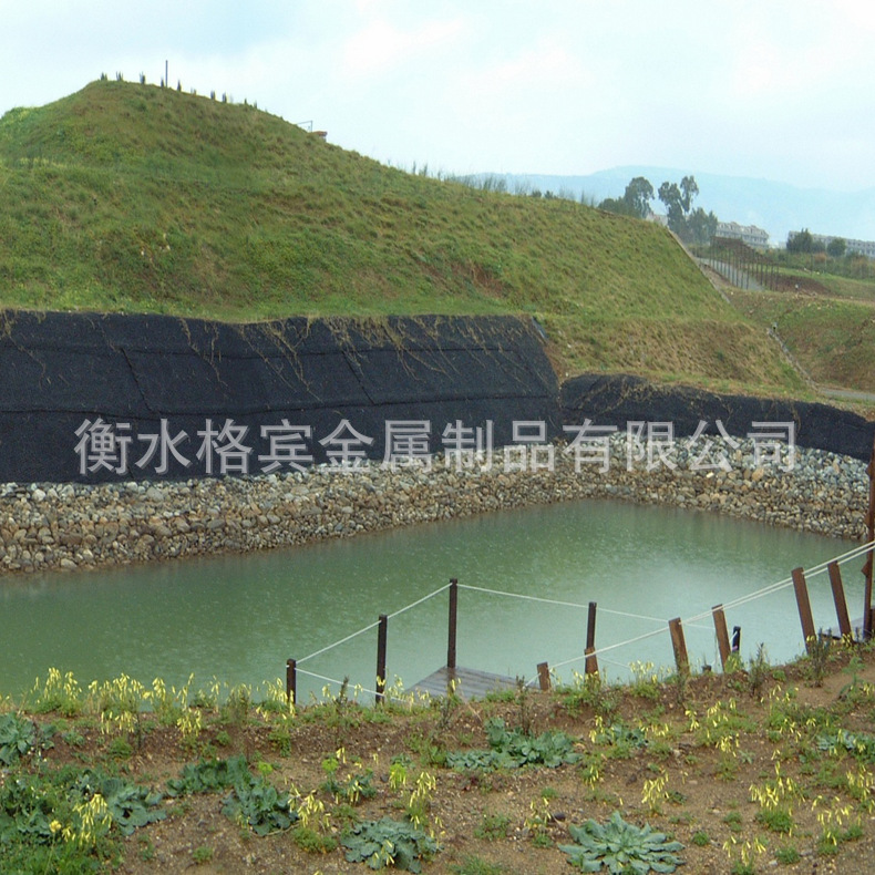 加筋麦克垫护坡 加筋植被网 加筋麦克垫护岸
