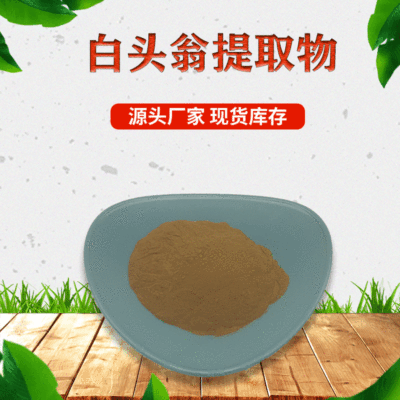 白头翁提取物 30:1白头翁粉  老翁须提取物 1KG起订 **