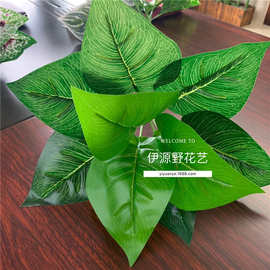 大9头万年青叶过胶仿真绿色叶仿真植物墙配材绿萝把束仿真叶