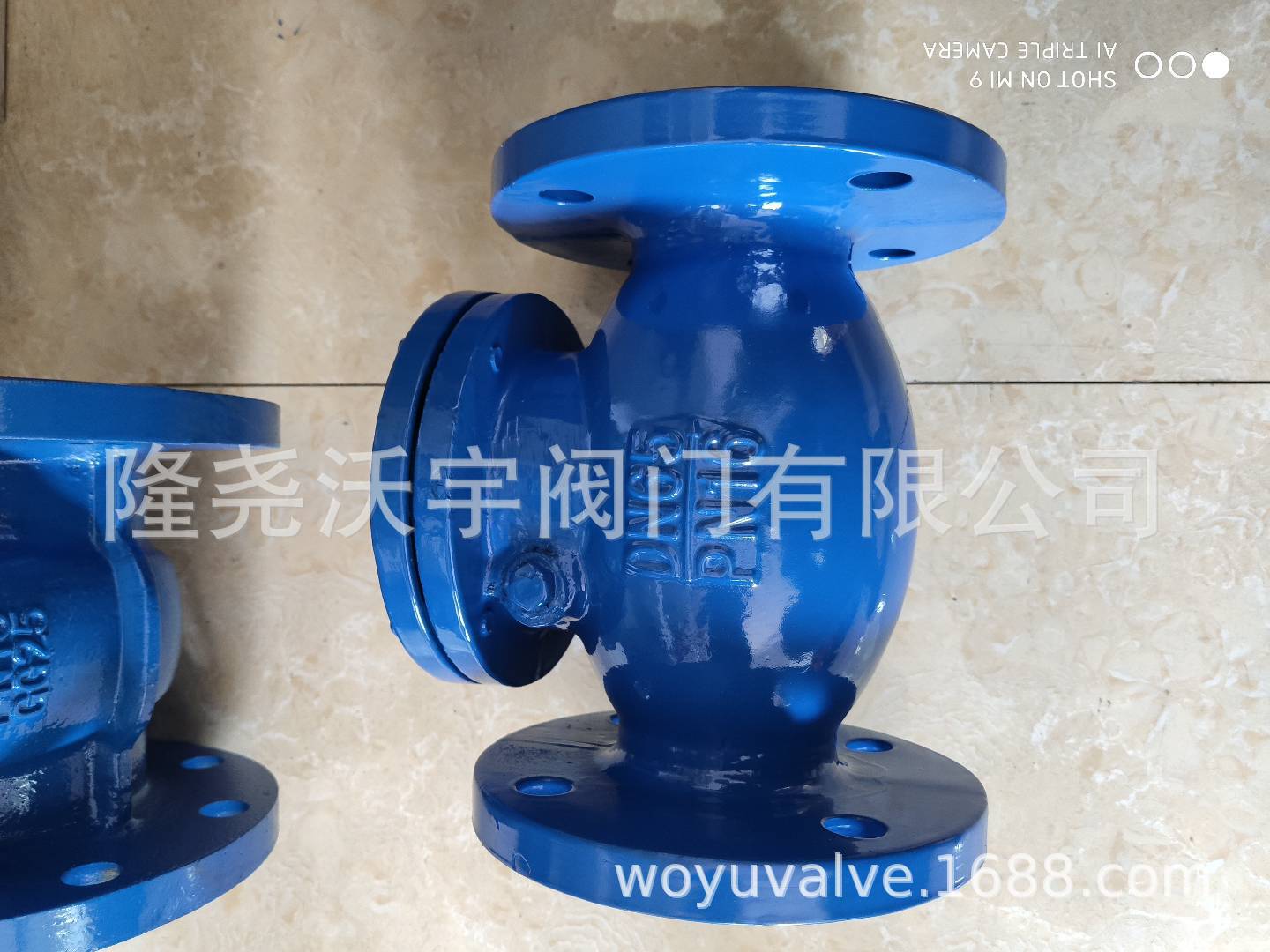 厂家供应H44T-16型DIN3202 F6法兰德标止回阀