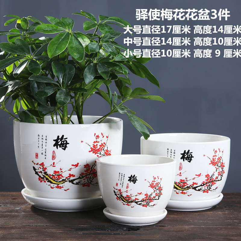 驿使梅花 副本_副本