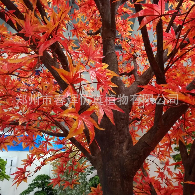 仿真白枫树婚庆装饰树大型景观红枫树仿真迷你枫树定 制假枫树-阿里巴巴