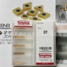 |֥̩唵в۵ƬCTD3 T313W/CTD4 CTD5 l