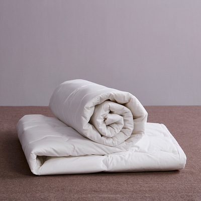 全棉A类无荧光抑菌防螨床护垫加厚夹棉床罩席梦思床垫保护套1.8M|ms