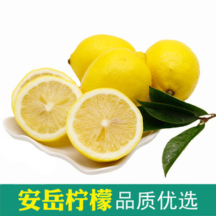 Sichuan Anyue Yellow Lemon Новые фруктовые фрукты происхождение происхождения