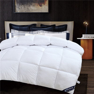厂家直销 羽丝绒被子春秋被羽丝被批发 加厚冬被学生被芯鹅绒被|ru