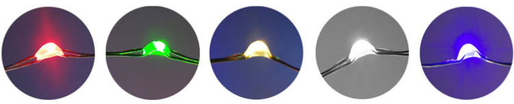 QQ图片20191101165917_副本