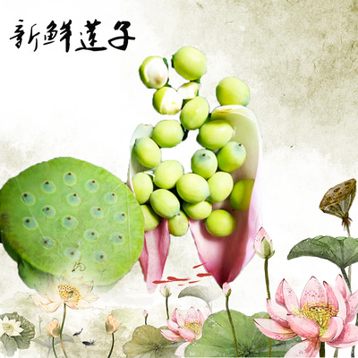 Guangchang White Lotus fresh Lotus seed manual Pick Lotus seed natural Primary color vacuum packing selected specialty