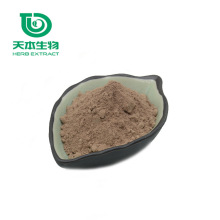 西安天本 假叶树提取物 10:1 假叶树粉 提取物 高品质萃取 现货