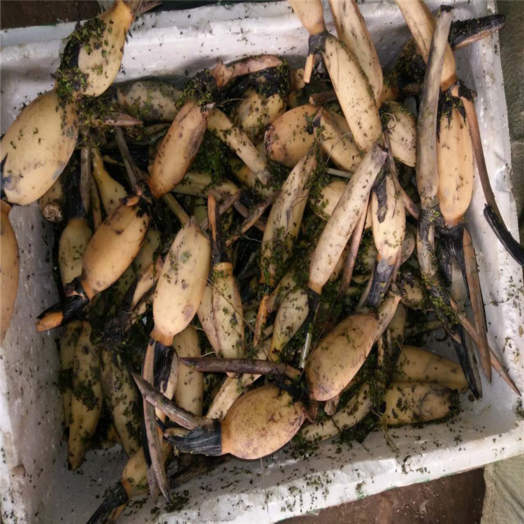 微信图片_20190924001621