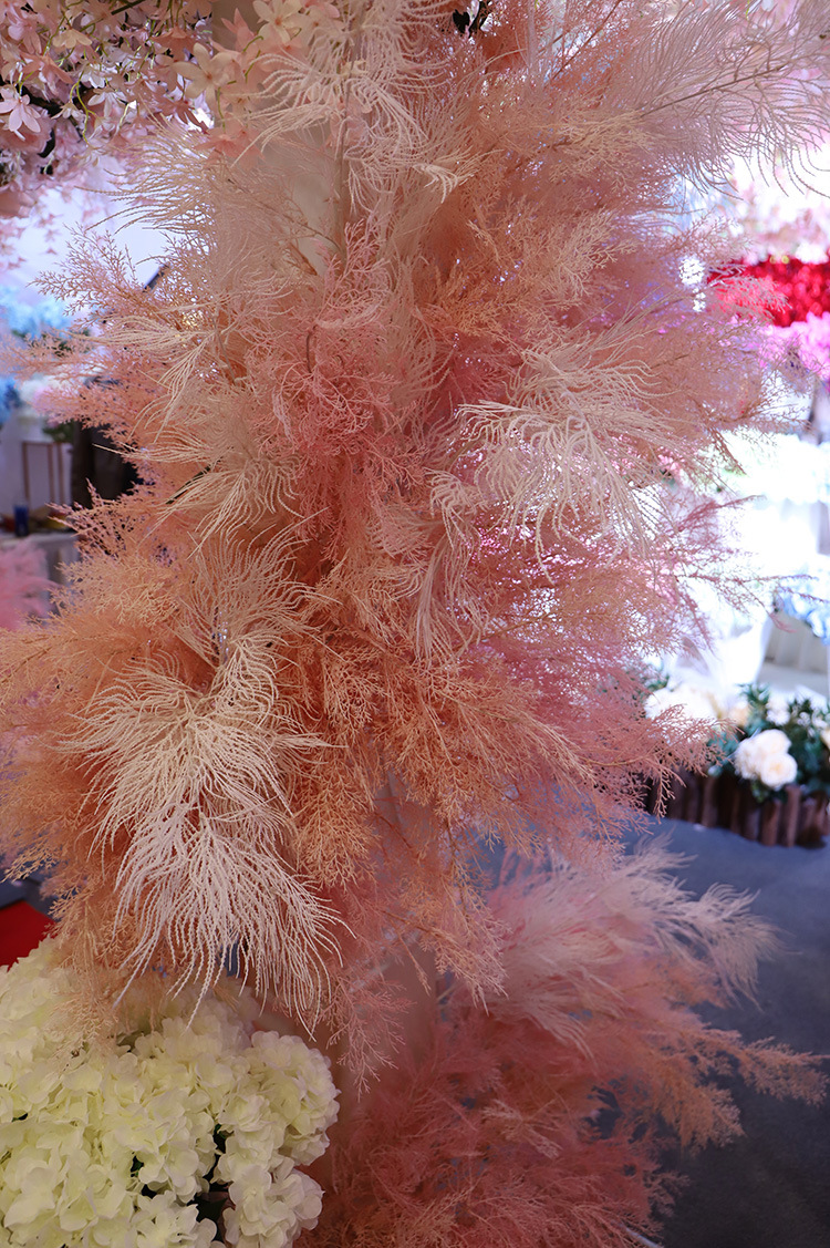 凤尾草 效果图3.jpg