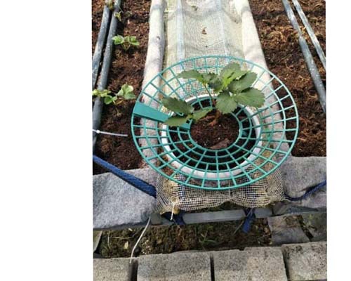 5cc428c0e412e93f9965a75a353dc7