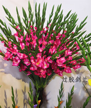 ���滨��֧���m �����m  �ָ��^�z�¿�������[���b� ֲ�����