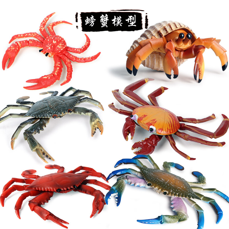 仿真动物模型实心海洋螃蟹莎莉蟹寄居蟹梭子蟹三点蟹塑胶模型玩具