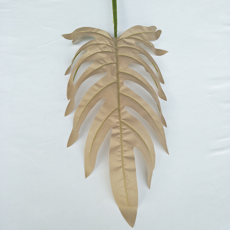 一米春雨叶金色3.9