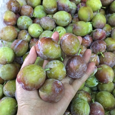 智利西梅非澳洲西梅脆甜爽口水果2斤裝壹件代發批發