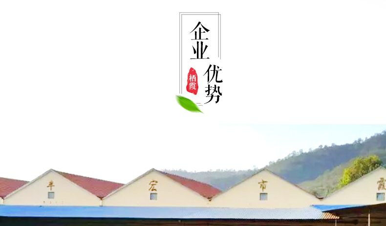 苹果详情源文件_11