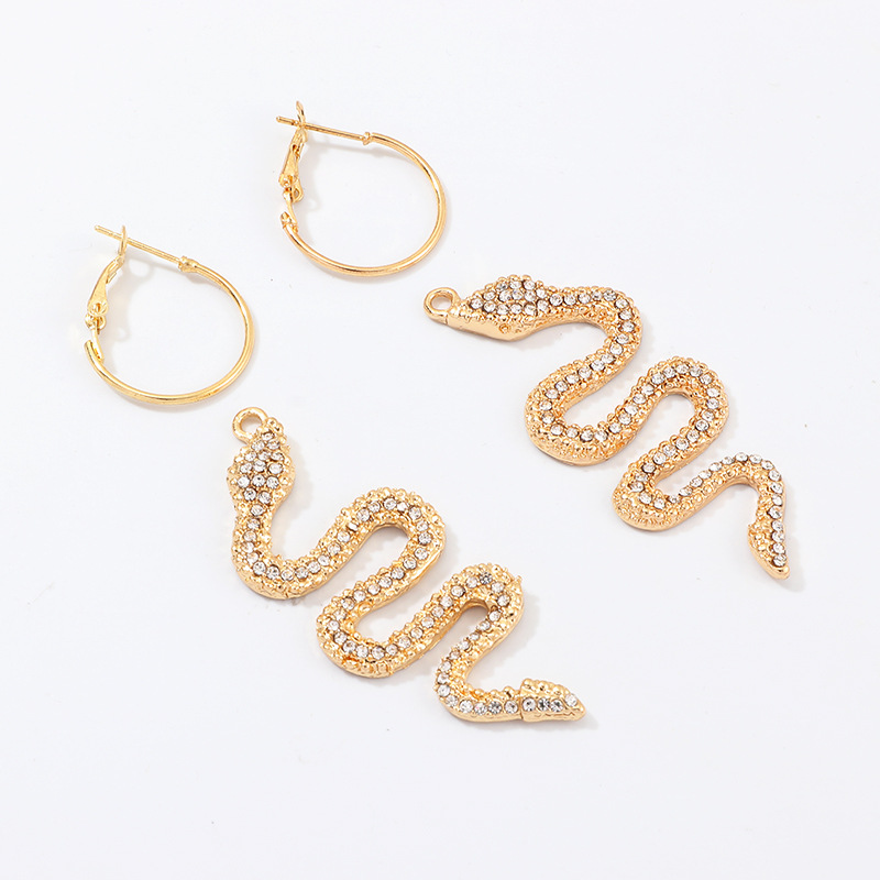 Fashion Jewelry Exaggerated Fashion Metal Diamond Snake Element Earrings Personality Wild Metal Earrings Wholesale Nihaojewelry display picture 15