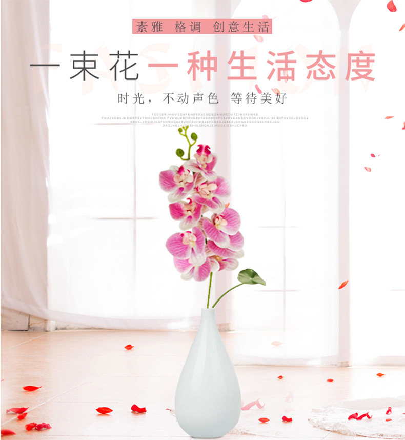 3D打印蝴蝶兰_01