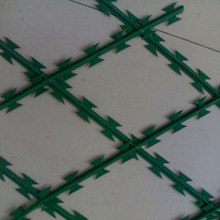 �����̾W���I�W�����̎����F�z�W��僸��\���P���I�̝L�\��Ƭ���K