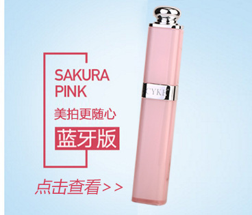 Bâton selfie en Acier inoxydable - Ref 3387267 Image 11