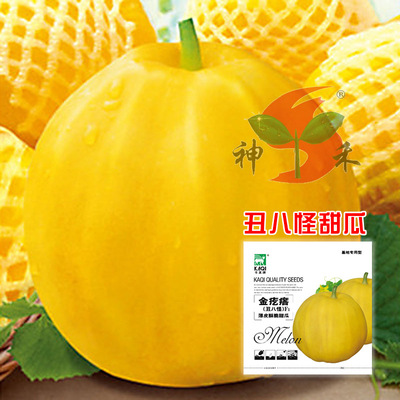 Pellicle High sugar Disease muskmelon seed knot muskmelon seed Xiangxi Very ugly person Muskmelon Taste