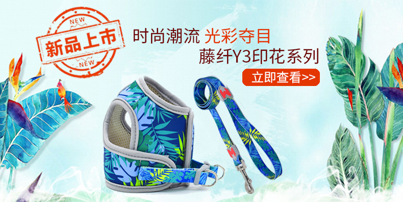 10259835321_1343976026