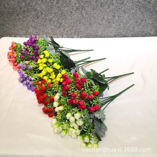 6��36�^���m��/���m�����l/36��Сõ����/����С�����Ҿ��b�