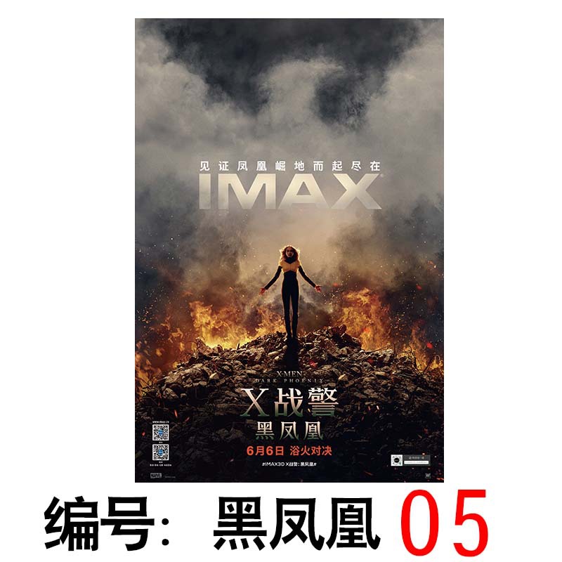 黑凤凰图片壁纸,凤凰图片大全,卡通(第2页)_大山谷图库