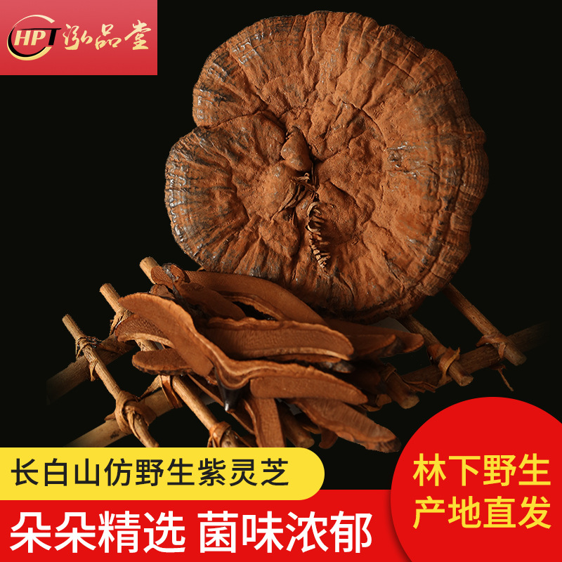 厂家直销东北特产仿野生椴木紫灵芝 煲汤泡酒林芝茶长白山紫灵芝|ms