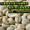 wholesale Yunnan Pellets coffee bean Yunnan Baoshan Pu 'er Tea washing 16 Above coffee Green beans 16# Sieve