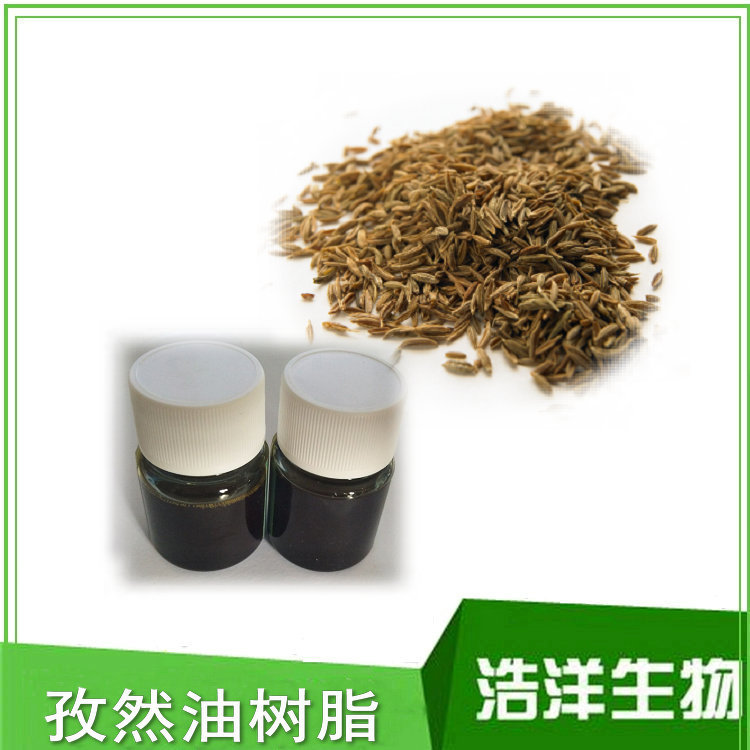 萃取孜然油树脂 熟香孜然油树脂 孜然提取物 食品级