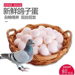 30 кусочков Henan Ohlosale в Henan оптовые денежные средства из свежих голубей и фермеров яиц могут свободно кормить зерновые зерна